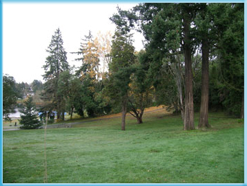 Lakewood Park, West of site